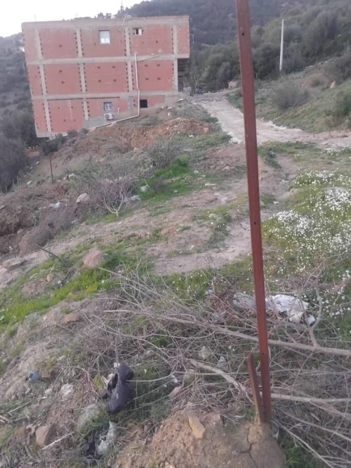 Vente Terrain Bouira Lakhdaria