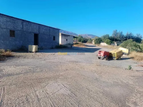 Location Terrain Bouira Djebahia