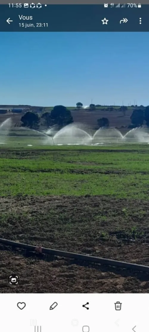 Vente Terrain Agricole Saïda Youb