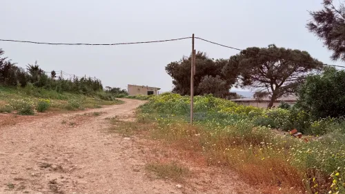 Vente Terrain Agricole Oran Bousfer