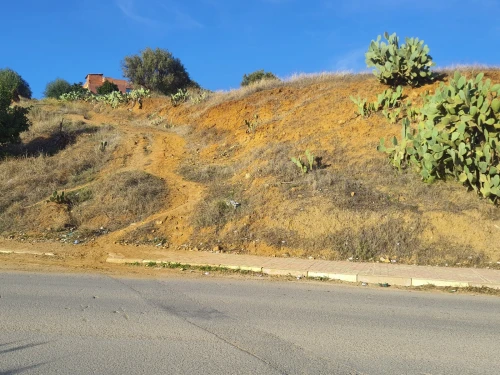 Vente Terrain Béjaïa Ouzellaguen