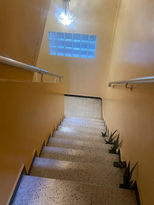 Location Appartement F5 Alger Bouzareah
