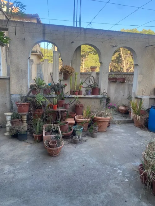 Location Appartement F5 Alger Bouzareah