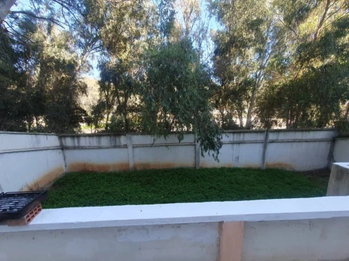Vente Villa Alger Dely brahim