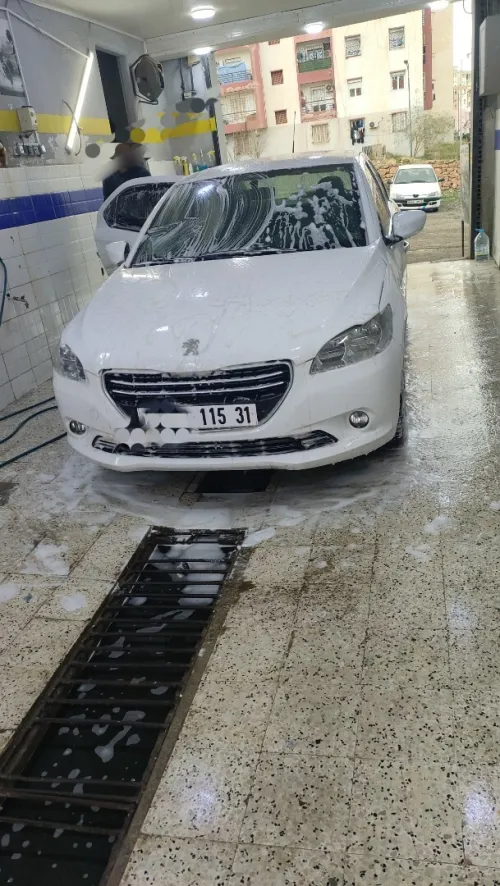 Peugeot 301 2015 Active