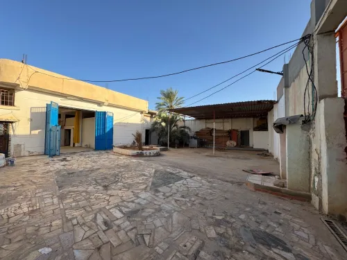 Location Hangar - Usine Biskra Biskra