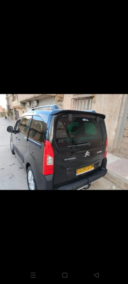 Citroen Berlingo 2010 Berlingo