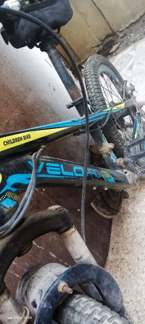 Vélo Vélo 2026