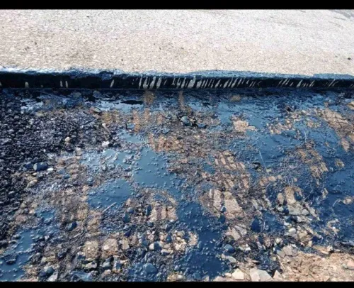 Travaux de godron Algérie 
