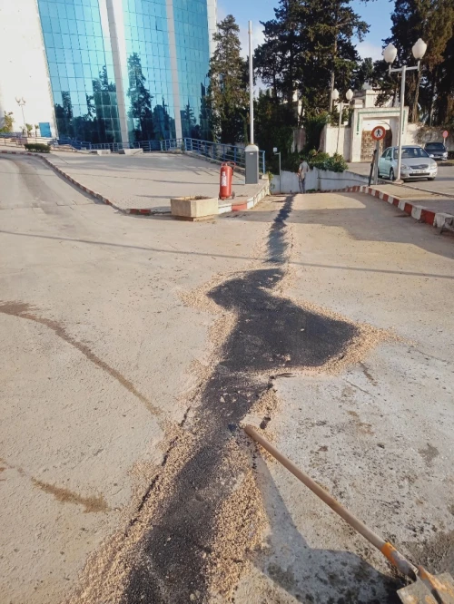 Travaux de godron Algérie 