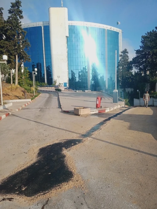 Travaux de godron Algérie 