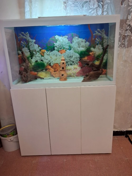 Aquarium avec meuble 1 mètre haute finition