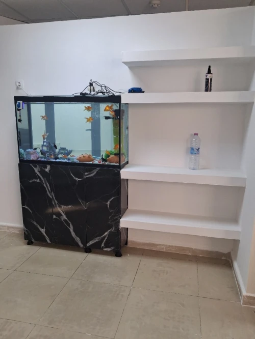 Conception d'aquariums, équipements, accessoires, poissons et entretien