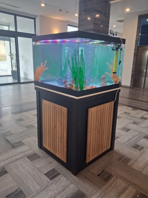 Conception d'aquariums, équipements, accessoires, poissons et entretien