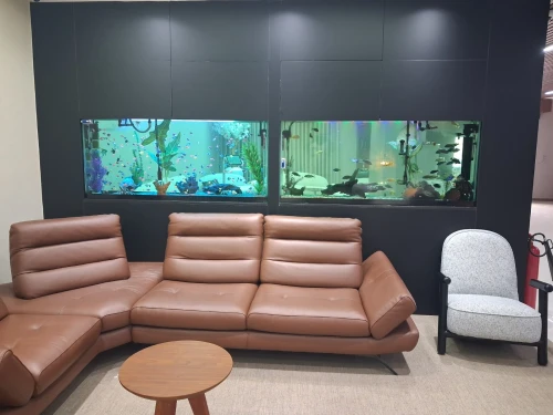 Conception d'aquariums, équipements, accessoires, poissons et entretien