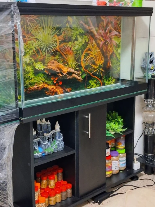 Aquarium avec meuble noir 80x55x25cm