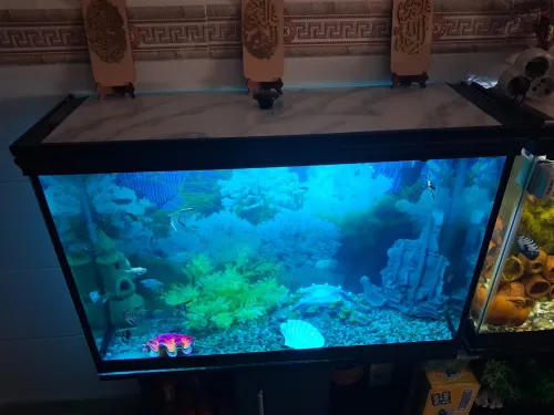 Aquarium avec meuble noir 80x55x25cm