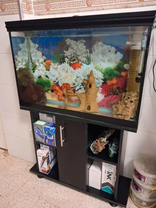 Aquarium avec meuble noir 80x55x25cm