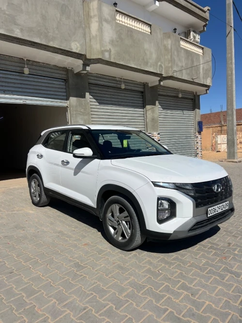 Hyundai Crita 2024 