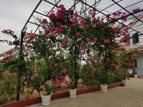 Vente Villa Skikda Beni oulbane