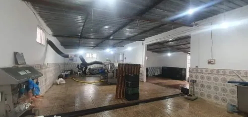 Vente Terrain Agricole Tébessa Bekkaria 