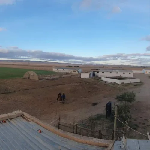Vente Terrain Agricole Tébessa Bekkaria 