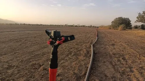 Vente Terrain Agricole Tébessa Bekkaria 