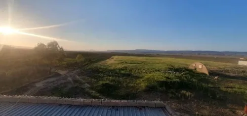 Vente Terrain Agricole Tébessa Bekkaria 