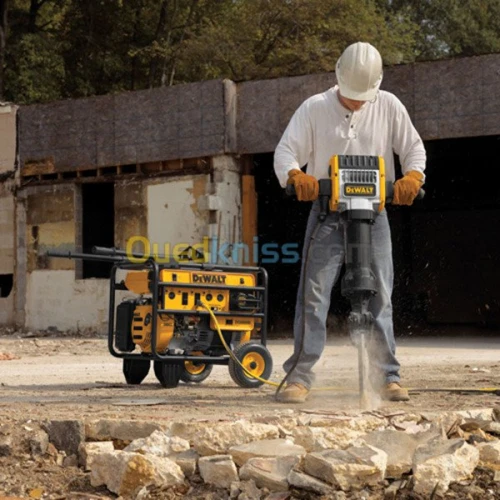 Dewalt DEMOLISSEUR 30KG 28mm + chariot