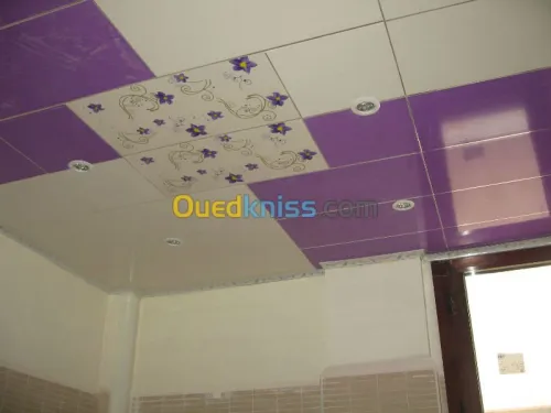 Décoration (ba13) et faux plafonds