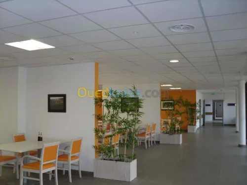 Décoration (ba13) et faux plafonds