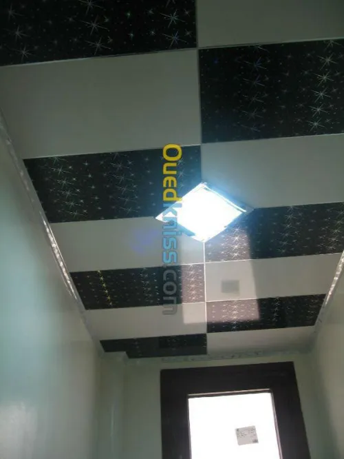 Décoration (ba13) et faux plafonds