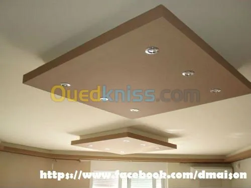 Décoration (ba13) et faux plafonds