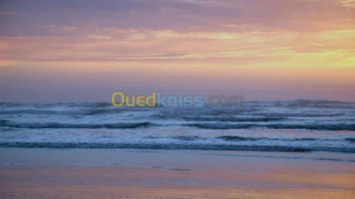 Transit § Lgistique