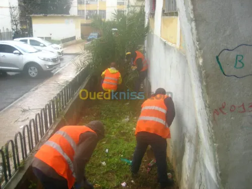 Nettoyage (Désherbage , dévapage,..)