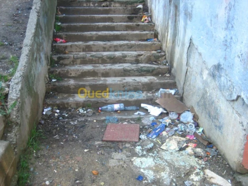 Nettoyage (Désherbage , dévapage,..)