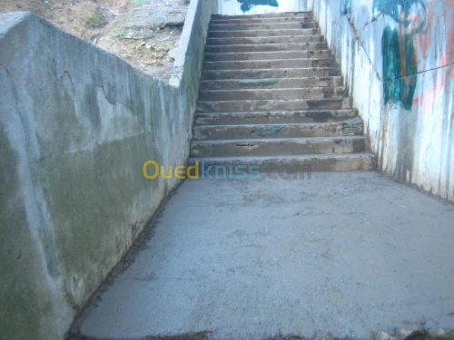 Nettoyage (Désherbage , dévapage,..)