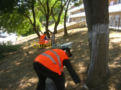 Nettoyage (Désherbage , dévapage,..)