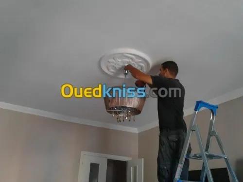 DEMENAGEMENT- TRANSPORT - MANUTENTION-