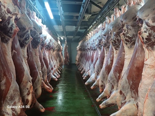 Viande d'Espagne 