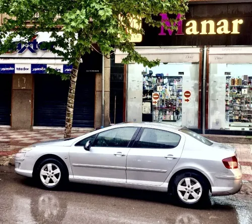 Peugeot 407 2010 407