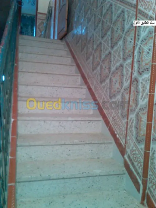 Vente Niveau De Villa F6 Oran Hassi bounif