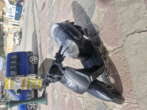 Vms Gemma 2026