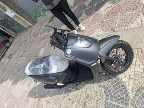 Vms Gemma 2026