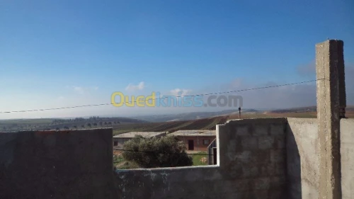 Vente Niveau De Villa F2 Oran Ain el kerma