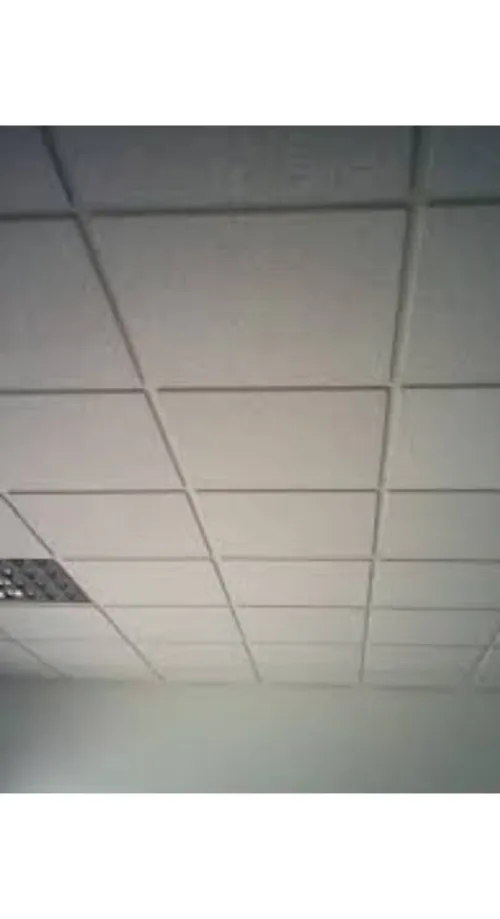 PLACOPLATRE - FAUX PLAFOND-PARQUET. PVC