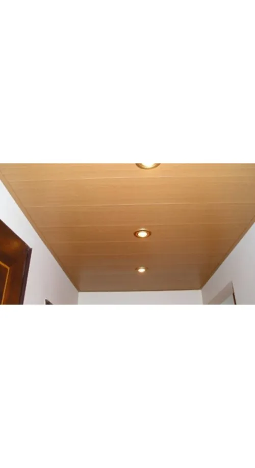 PLACOPLATRE - FAUX PLAFOND-PARQUET. PVC