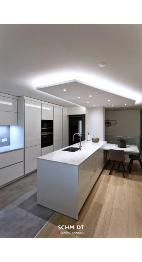 PLACOPLATRE - FAUX PLAFOND-PARQUET. PVC