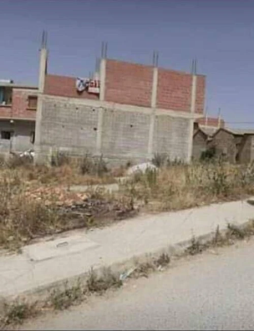 Vente Terrain Constantine Ain abid