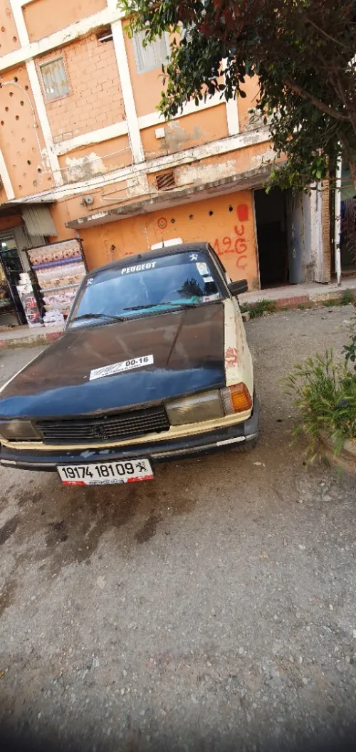 Peugeot 305 1981 305